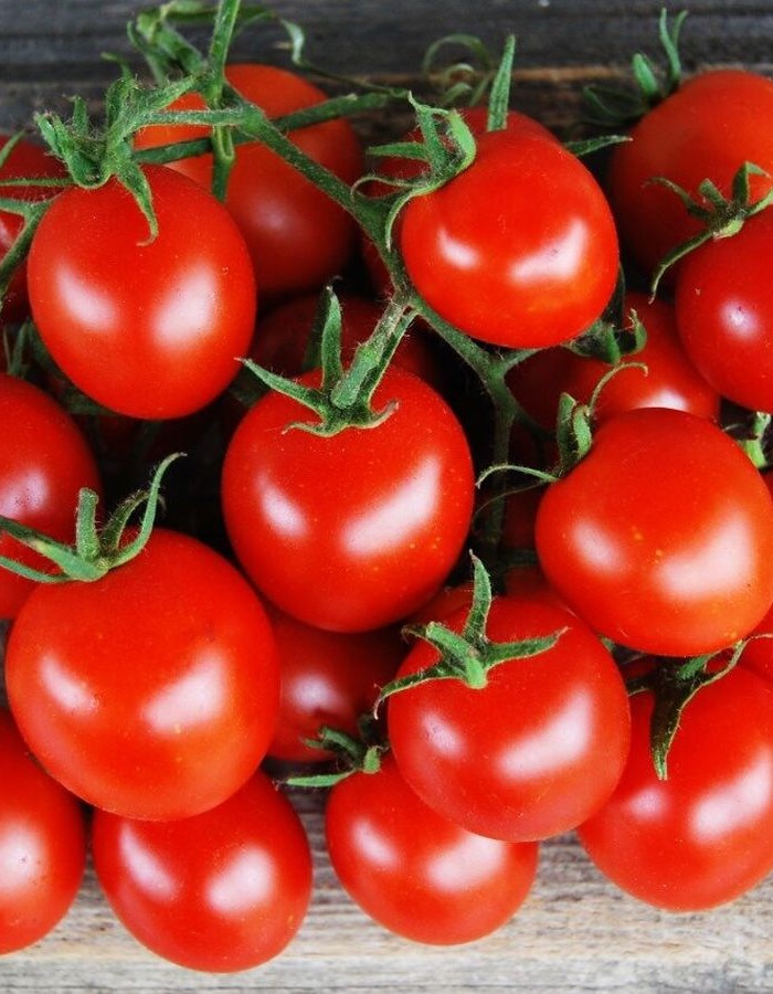 Томат Яблонька России (УД) 20 шт цв п томат экспресс сибири f1 уд 12 шт цв п