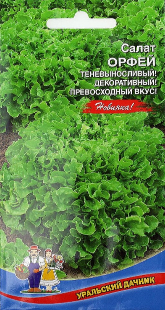 

Салат Орфей (УД) 0,25 гр цв.п