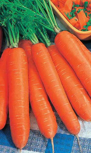 Морковь Хрустящее Счастье (УД) 2 гр цв п