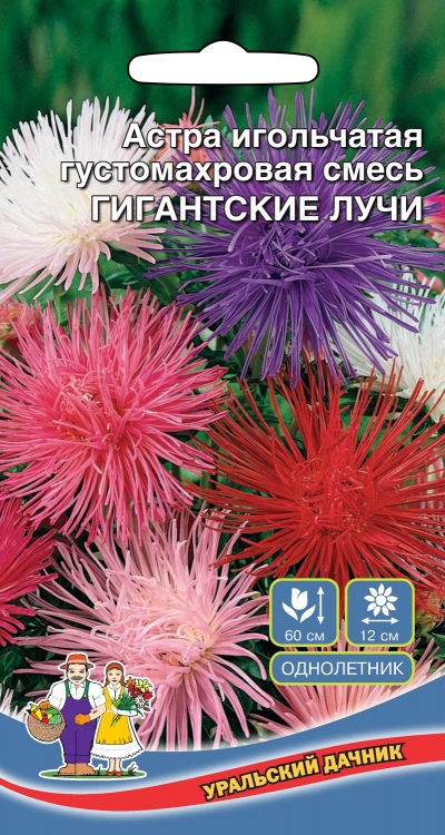Астра игольчатая Гигантские лучи (УД) 0,25 гр цв п