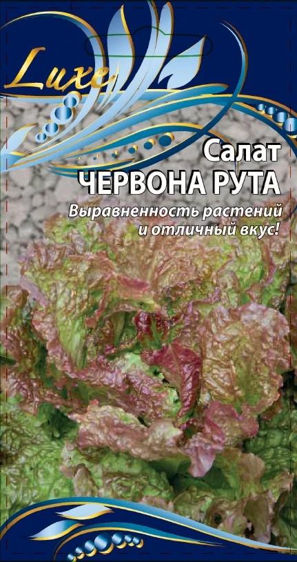 Салат Червона Рута 1 гр цв.п