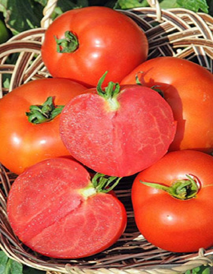 Томат Союз-8 F1 0,05 гр цв.п семена томат союз 8 f1