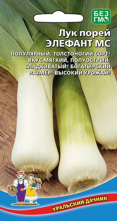 Лук порей Элефант МС (УД) 0,25 гр. цв.п.