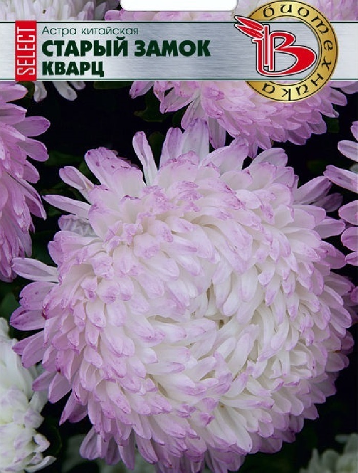 

Астра Старый замок селект Кварц 30 шт