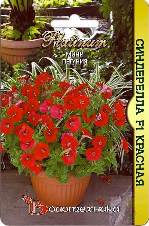 Петуния мини Синдерелла F1 Красная 15 шт