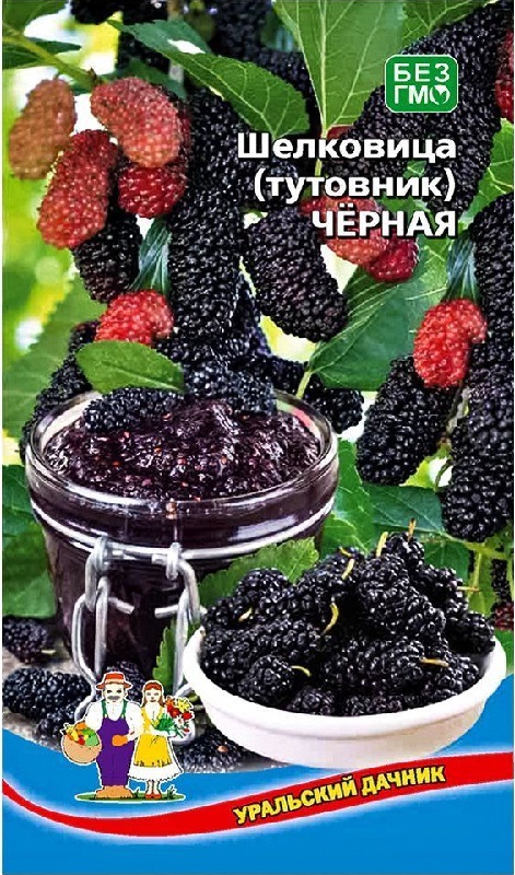 Шелковица(тутовник) Черная (УД) 0,15 гр