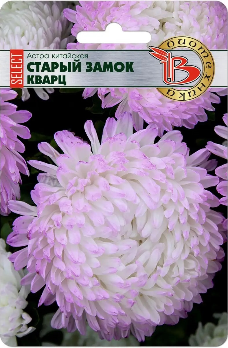 Астра Старый замок селект Кварц 30 шт 107₽