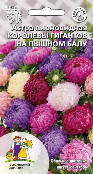 Астра пионовидная Королевы гигантов на пышном балу (УД) 0,2 гр цв п 