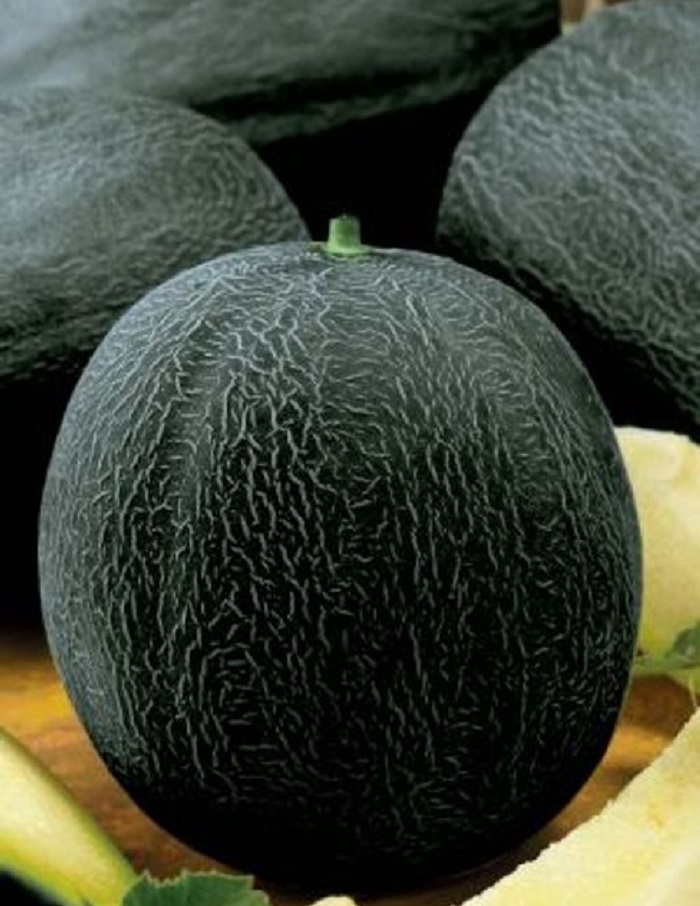 

Дыня Черный принц (УД) 6 шт цв.п.