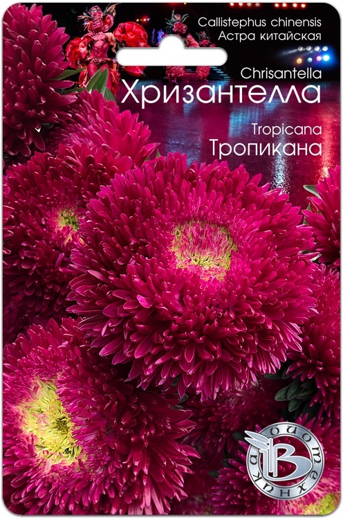 Астра Хризантелла Тропикана 30 шт, Семена цветов, Астра