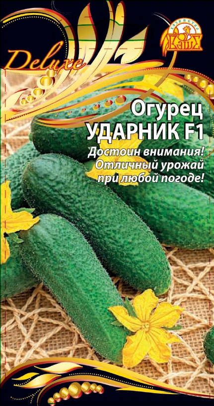 Огурец Ударник F1 (Селекция "ВХ") 0,25 гр цв.п.