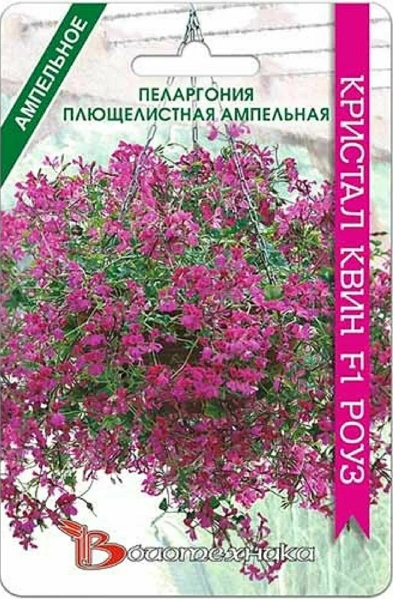 

Пеларгония плющелистная ампельная Кристал Квин F1 Роуз 5 шт