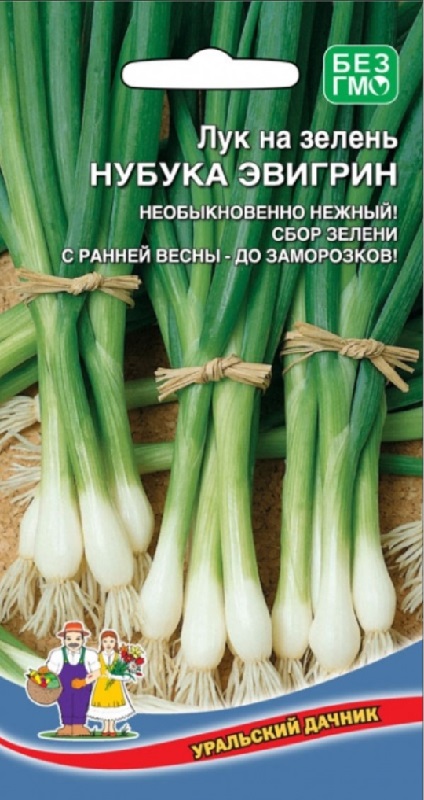 

Лук на зелень Нубука Эвигрин (УД) 0,25 гр цв.п.