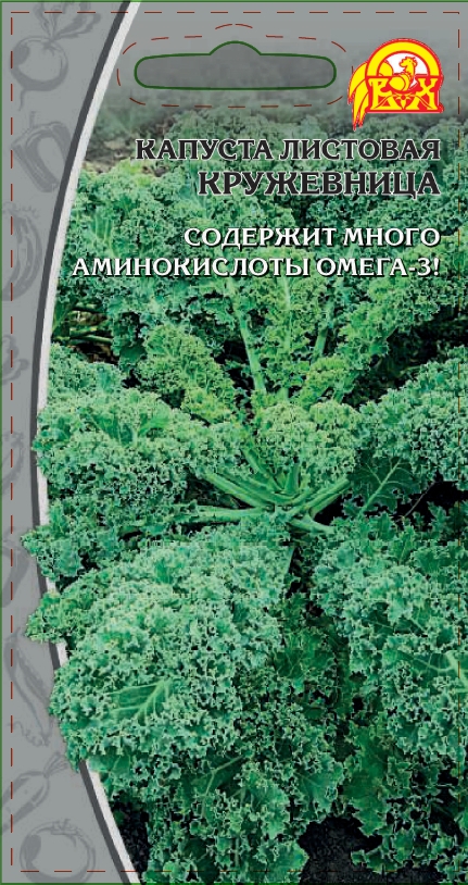 

Капуста листовая Кружевница (Селекция "ВХ") 0,3 гр цв.п.