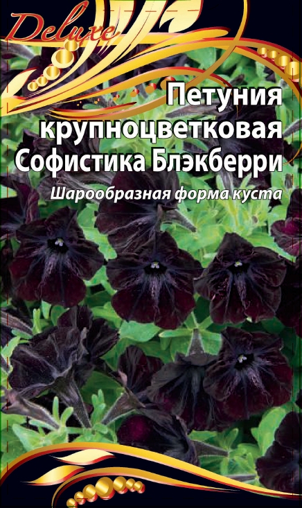 Петуния крупноцветковая Софистика Блэкберри 5 шт 