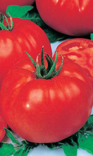 Томат Король Гигантов (УД) 20 шт цв.п.