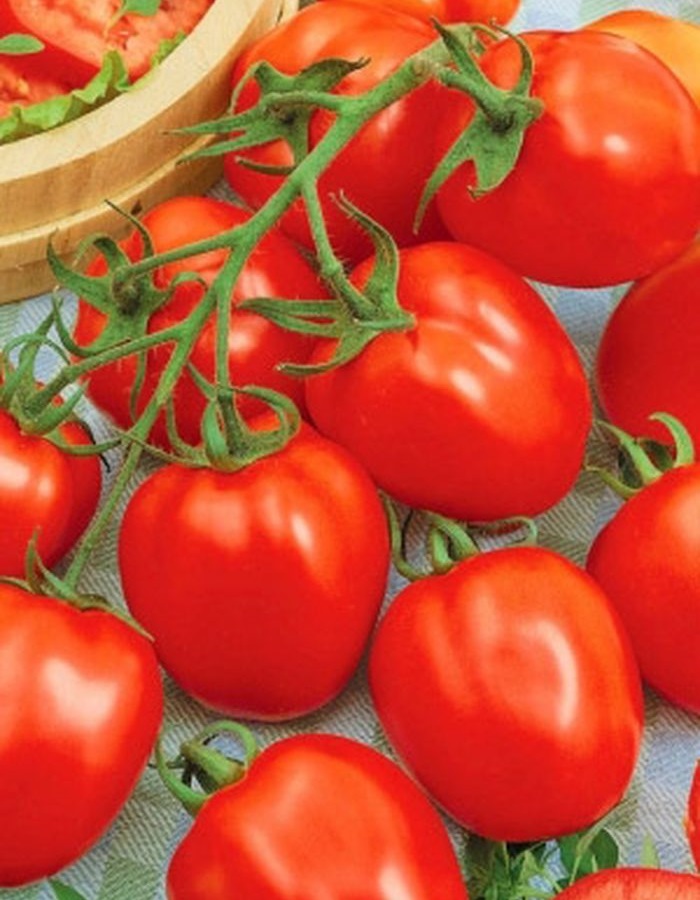Томат Элегант (УД) 20 шт цв п томат экспресс сибири f1 уд 12 шт цв п