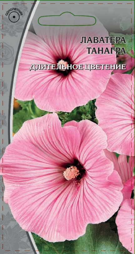 Лаватера Танагра  0,5 гр