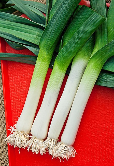 Лук порей Карантанский 0,4 гр б.п.