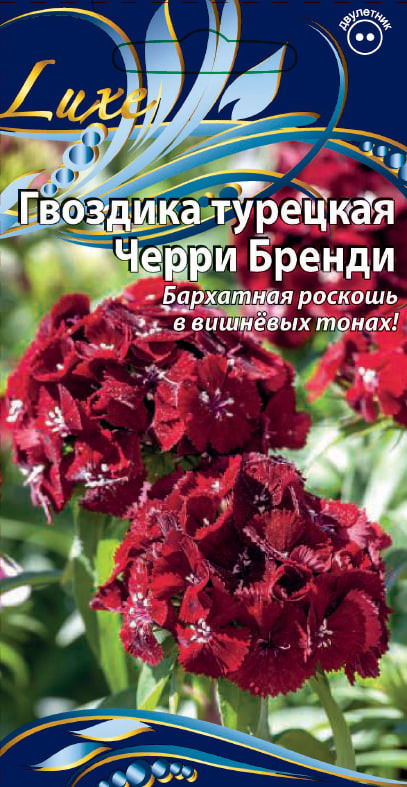 

Гвоздика турецкая Черри Бренди 4 шт