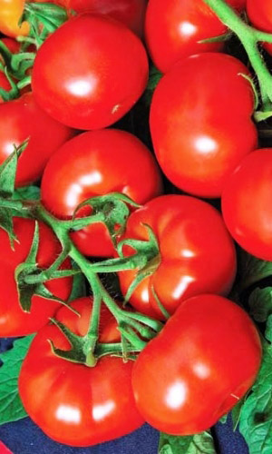 Томат Бумеранг F1 (УД) 12 шт цв.п