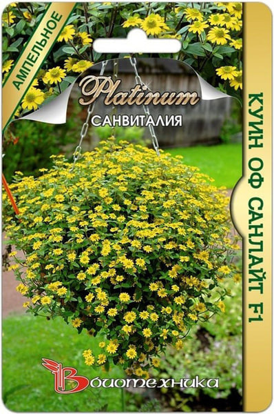 Санвиталия Куин оф Санлайт F1 10 шт