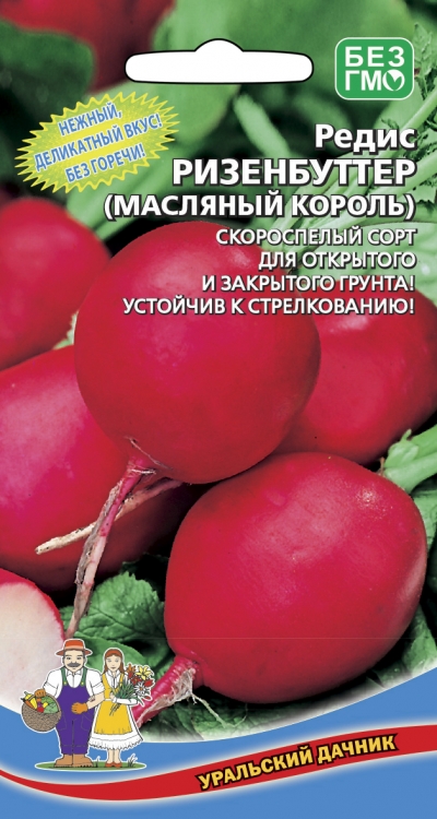 Редис Ризенбуттер (Масляный король) (УД) 2 гр. цв.п.