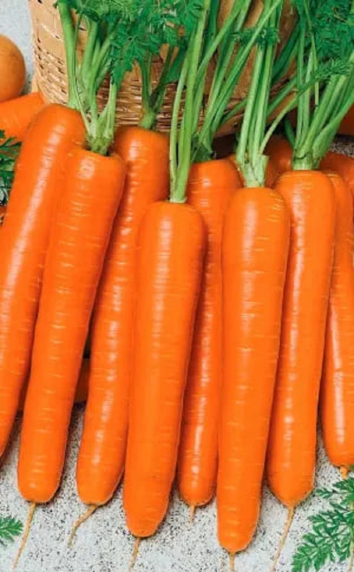 

Морковь Медово сахарная F1 (УД) (ГЕЛЕВОЕ ДРАЖЕ) 250 шт цв.п.