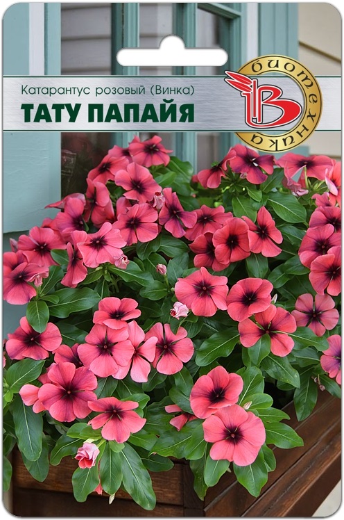 Катарантус розовый (Винка) Тату Папайя 8 шт, Семена цветов, Катарантус