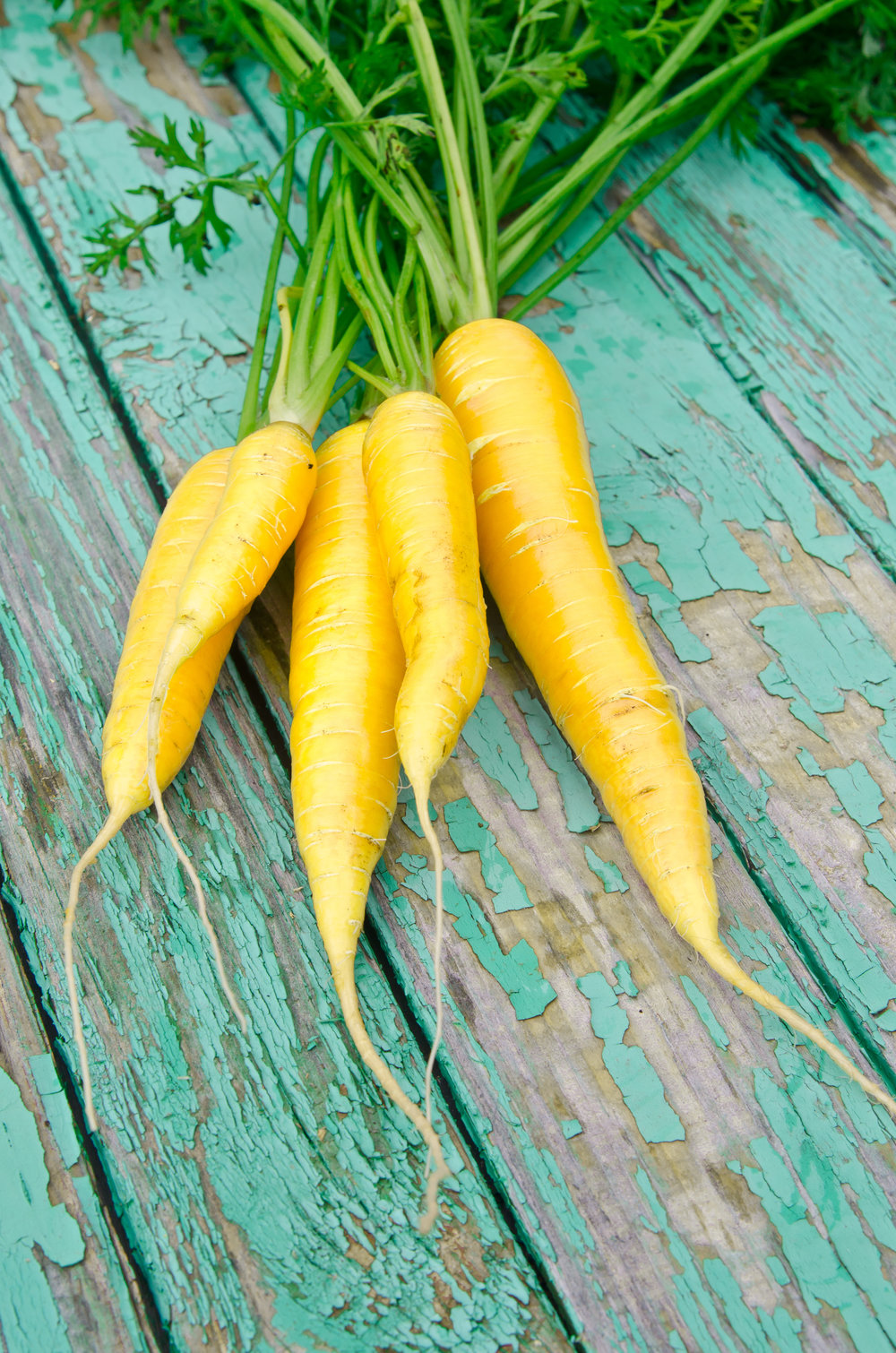 Морковь Золотистый плов 0,1 гр цв.п