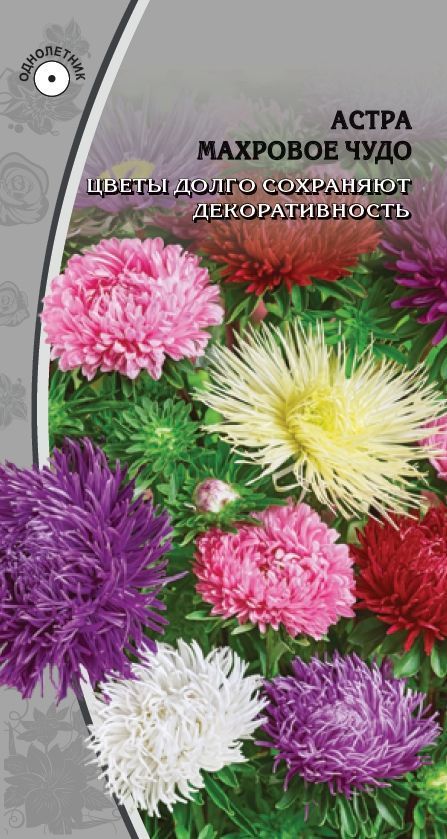 

Астра Махровое чудо 0,2 гр цв п