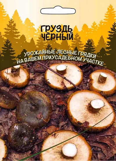 Грибы Груздь Чёрный (УД) 30 мл/15 гр цв.п