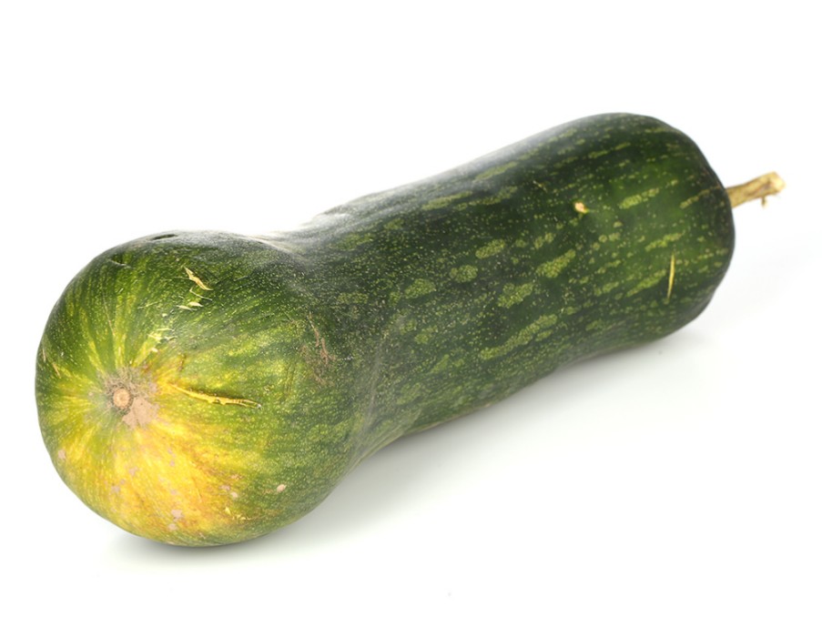 

Тыква мускатная Викторианская (Селекция "ВХ") 1 гр. цв.п.