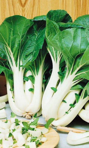 Капуста китайская Краса Востока (УД) 0,2 гр цв.п.