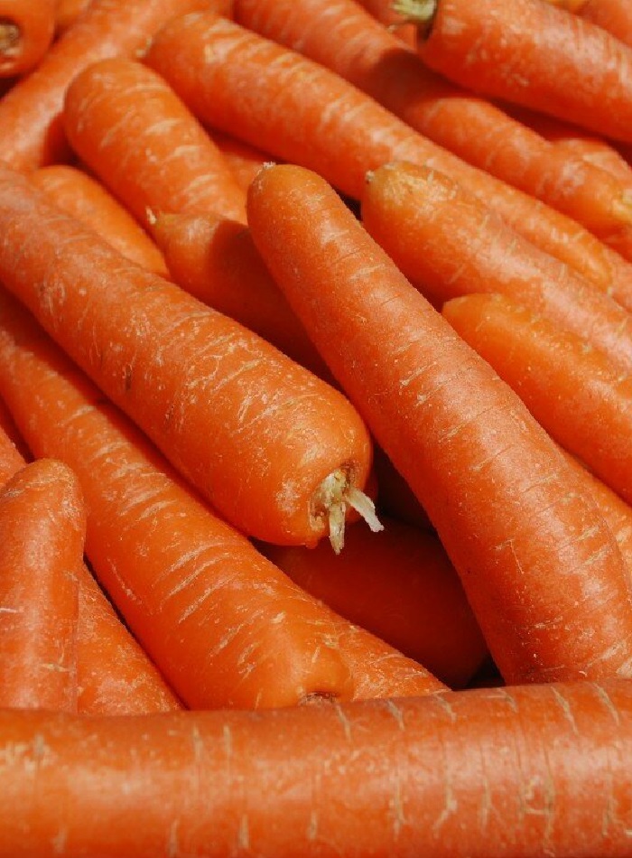 Морковь Марс F1 (УД) 1,5 гр цв.п. цена и фото