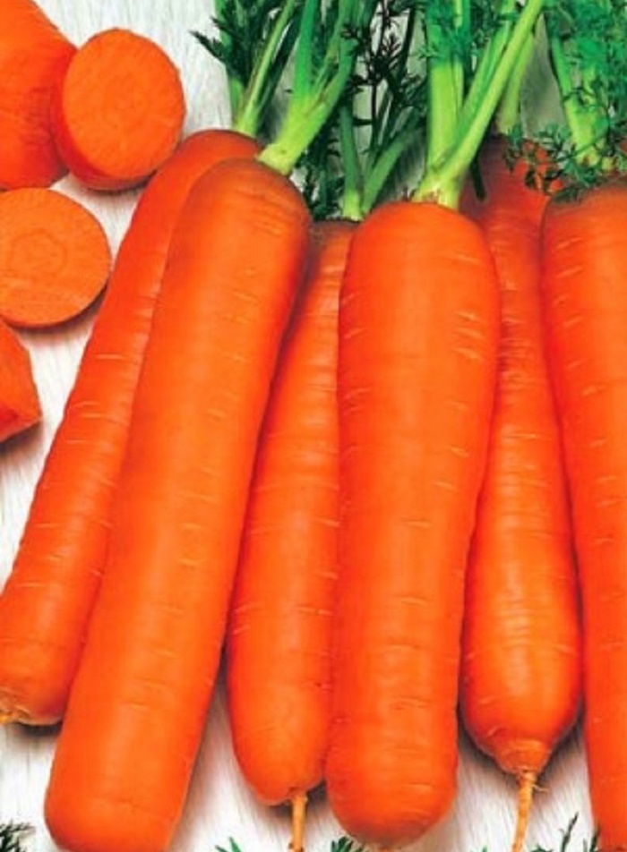 Морковь Длинная Красная (Лонге Лорте) (УД) 1,5 гр цв.п., Морковь, Морковь семена