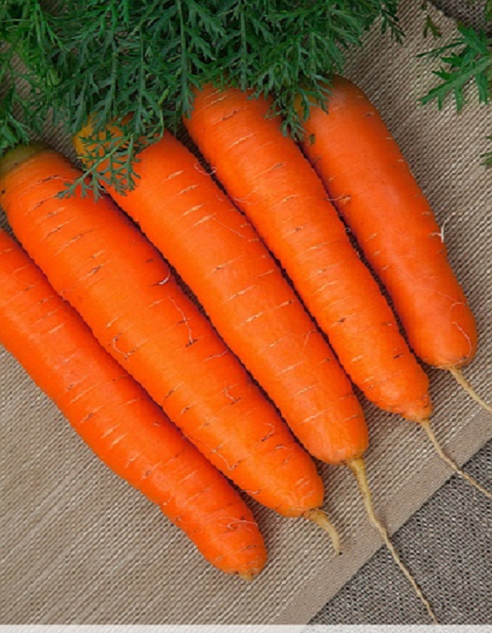 Морковь Детская сладость 2 гр б.п., Морковь, Морковь семена