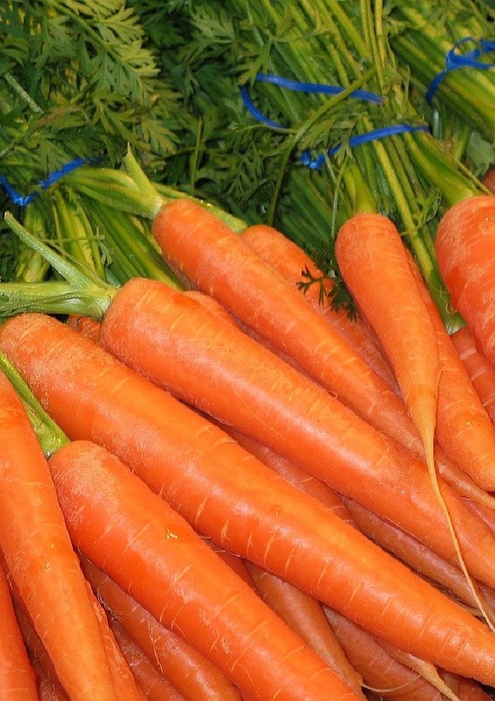 Морковь Красавка (УД) 2 гр цв.п., Морковь, Морковь семена