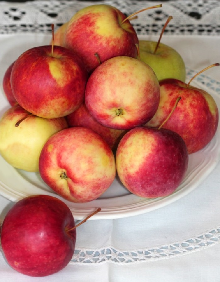 Яблоня Мечтательница (3 года) 1 шт, Плодовые, Крупногабаритные саженцы