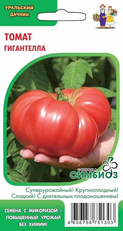 

Томат Гигантелла УД 20 шт цв.п (Симбиоз)