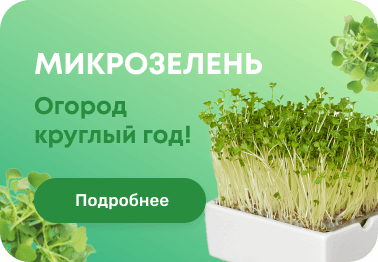 Магазин Семена На Новой Рязань График Работы