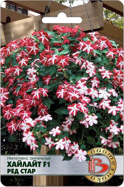 Бальзамин (импатиенс) ампельный Хайлайт F1 Рэд Стар 10 шт