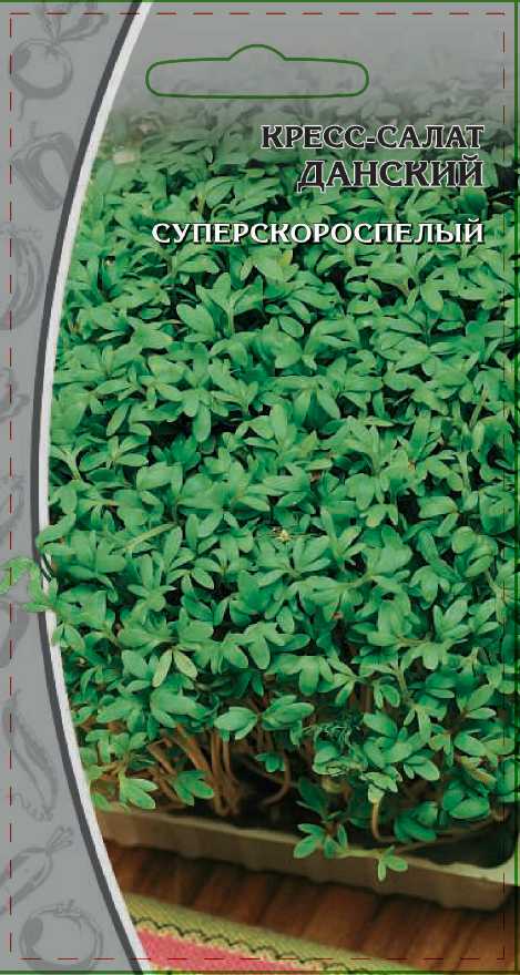 

Кресс-салат Данский 1 гр цв.п.