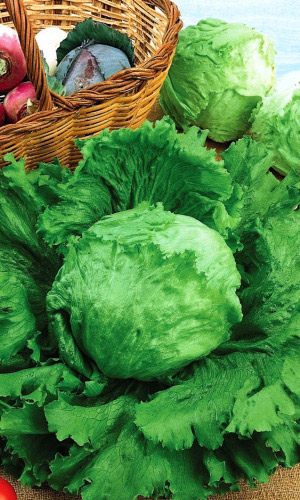 Салат Цезарь (УД) 0,25 гр цв.п