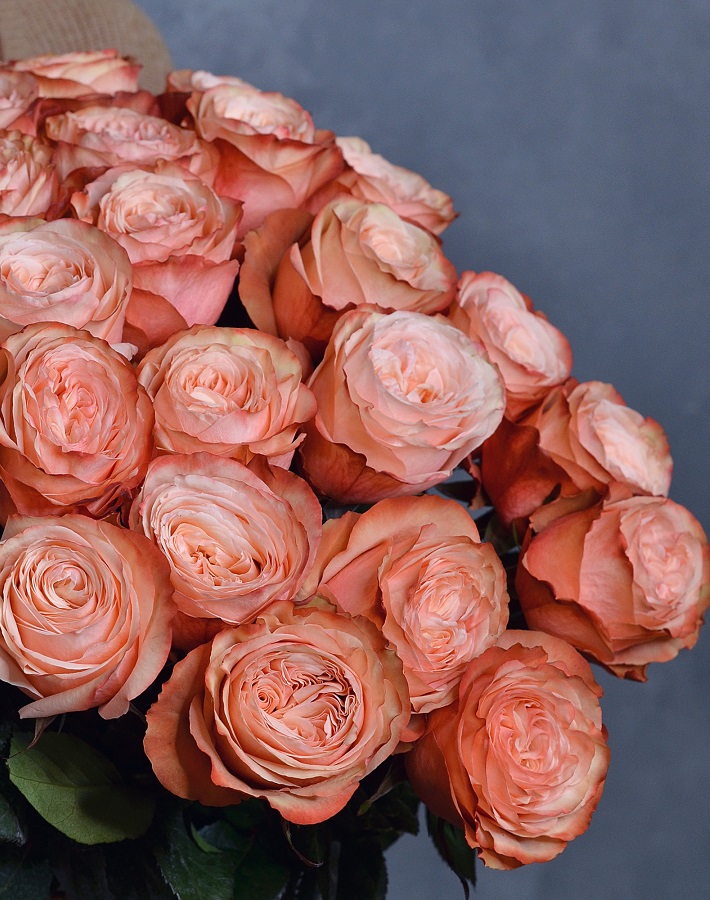 Роза чайно-гибридная Кахала 1 шт букет роза кремово коричневая пионовидная кахала 13 шт 50 см