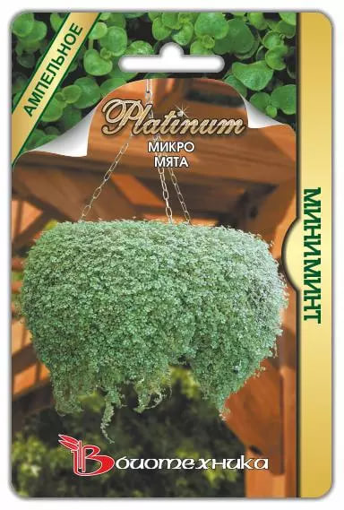

Мята микро Миниминт 5 шт
