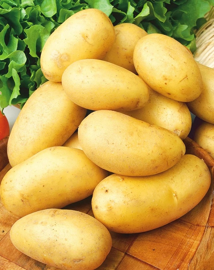 Купить картофель Леди Анна, 2 кг - Картофель семенной, Картофель семенной,арт: 16695 недорого в магазине в Чебоксарах, цена 2023