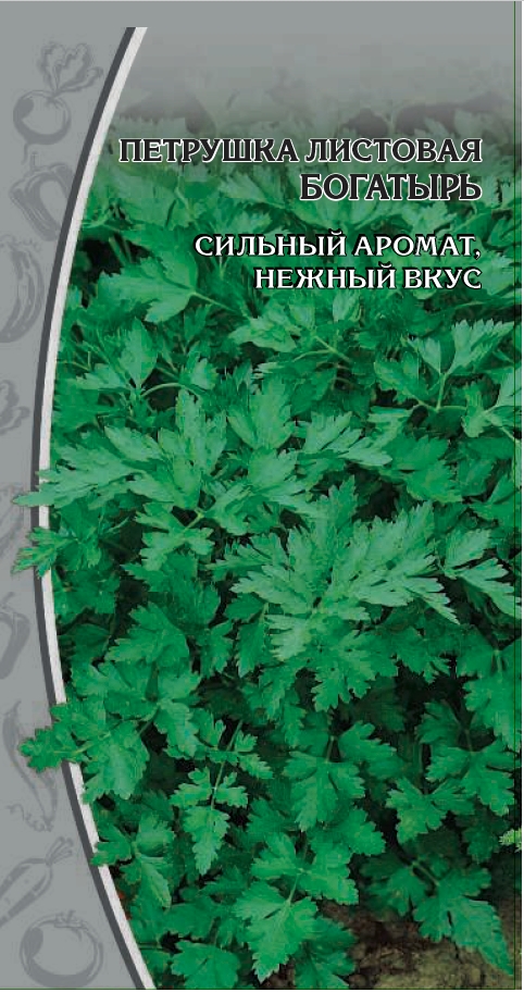 Петрушка листовая Богатырь 3 гр цв.п.