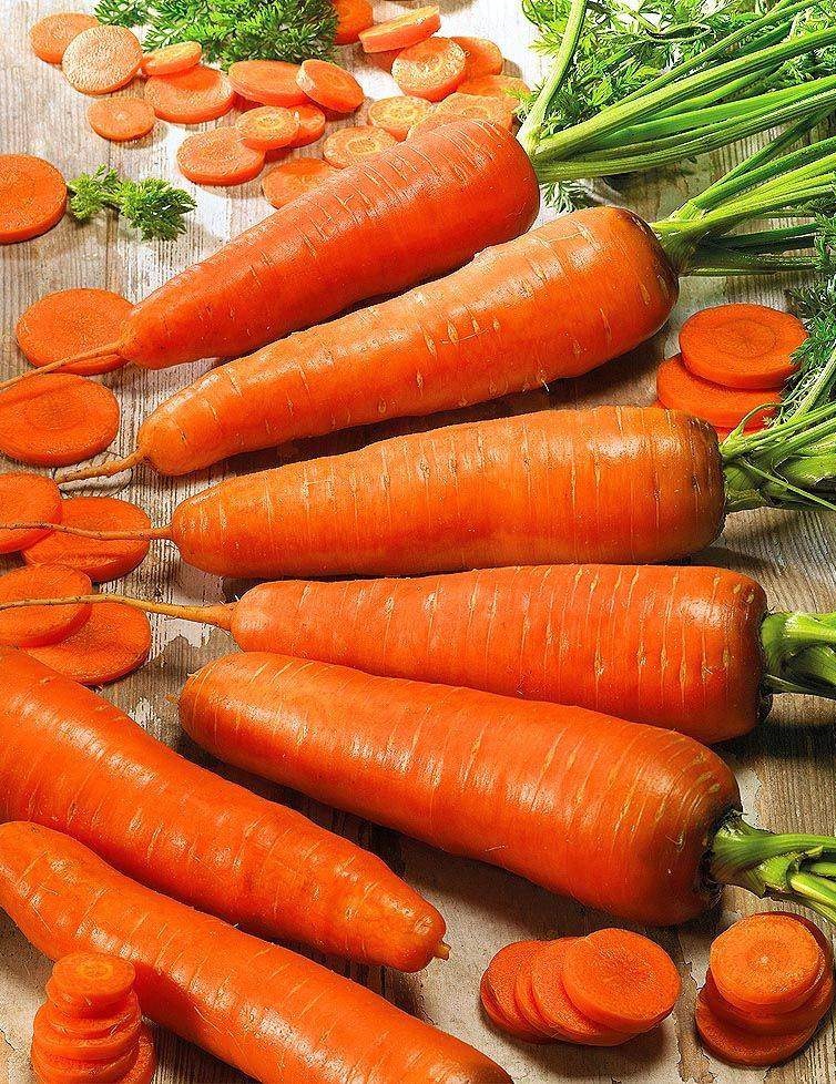 Морковь Оранжевая медовая (УД) 1,5 гр цв.п., Морковь, Морковь семена