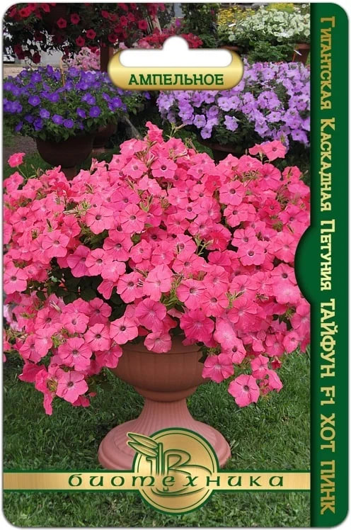 Петуния гигантская каскадная Тайфун F1 Хот Пинк 5 шт